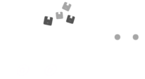 DVGSIS LLC